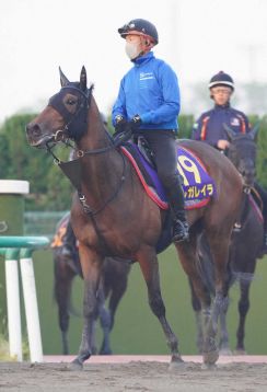 【日本ダービー】（2）レガレイラ　全力を尽くして、木村師「トラブルなく来られている」