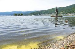 「長期的には環境改善」　諏訪湖の水質、昨年度長野県調査