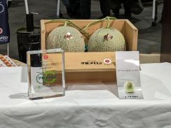 【速報】夕張メロン2玉300万円で落札 「春先の天候良く甘味乗り過去最高級の品質」 札幌市中央卸売市場での初競り 北海道札幌市