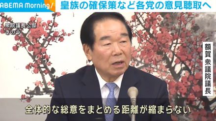 皇族の確保策など各党の意見聴取へ 安定的な皇位継承巡り協議