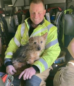 「時には悲劇から幸せが生まれることも」英消防隊員が孤独死女性の愛犬を引き取って…