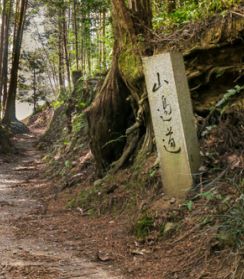 この水は「はるか未来の民」をも思う「天皇の心」なのかもしれない…なんと「2000年もの間」田をうるおしてきた崇神天皇陵「驚愕の構造」