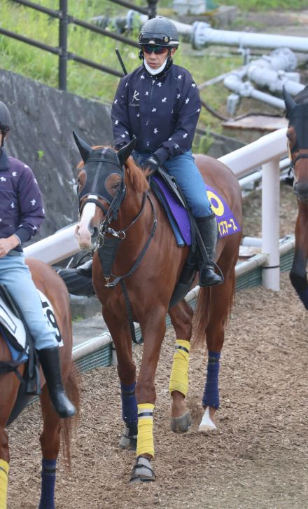 【日本ダービー】サンライズアースは絶好の１枠１番から一発狙う　石坂調教師「距離が延びるのは大歓迎」