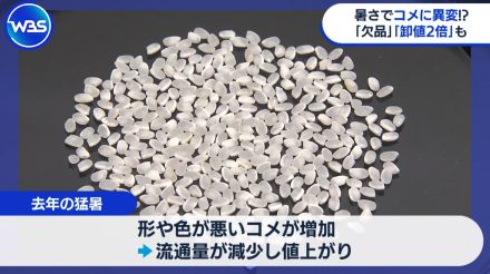 今年の夏は平年以上の気温に!？　暑さの影響でコメ価格2倍も【WBS】