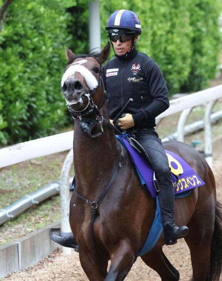 【ダービー】シックスペンス金曜午後に現地入り、国枝師「ストの影響を考慮してリスクを回避」