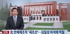 海外に拠点を置く北朝鮮の反体制組織、平壌の金日成記念碑に墨をまく動画を公開【独自】