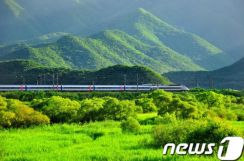 韓国の13万人が詰め掛けた当日の汽車旅行プログラム、6月も実施
