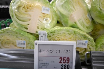 キャベツの価格高騰、例年の倍に…　家計や飲食店の経営に影