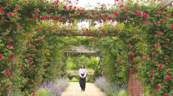 イギリス園芸コンテストで快挙のイングリッシュガーデン “最も美しい季節”迎える【新潟・見附市】