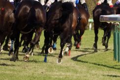 JRAが競馬ファンへお願い…「競馬場へ移動中の騎手に関するお願い」