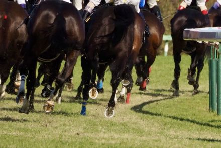 JRAが競馬ファンへお願い…「競馬場へ移動中の騎手に関するお願い」