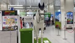 「本物かと思った」　東京駅に展示された“ロボット馬”に現場仰天……　目撃した芸能人も驚き