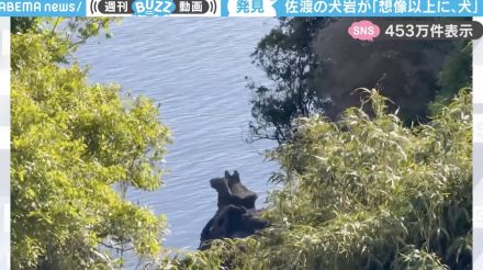 あそこに犬がいる…と思ったら、“岩”！？離島好きが見つけた驚きの「犬岩」、悲しい伝説と共に話題沸騰！「頭の中で珍百景の音が流れるw」「同じ向きで写真撮りたい！」