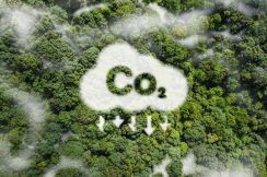 2兆円の巨大市場、「CO2排出量の測定ソフト」を展開する仏Greenlyの挑戦