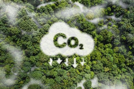 2兆円の巨大市場、「CO2排出量の測定ソフト」を展開する仏Greenlyの挑戦