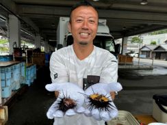 日向・細島で「ウニ試食会」　廃棄野菜を餌にウニの畜養に成功