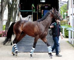 【日本ダービー】武豊騎手がコンビのシュガークンは渋滞に巻き込まれるも不安なし　陣営「イレ込んだりすることもなかった」