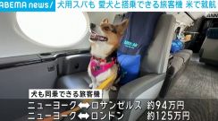 機内に犬用スパも 愛犬と搭乗できる旅客機 米で就航