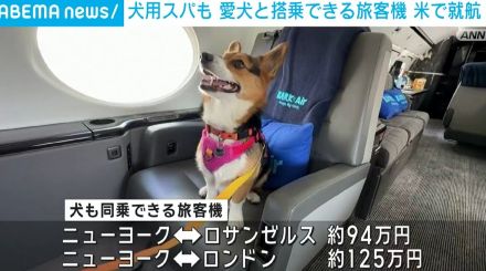 機内に犬用スパも 愛犬と搭乗できる旅客機 米で就航