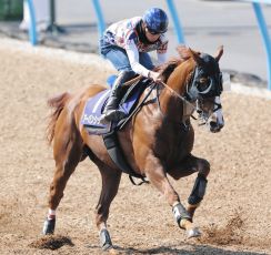 【日本ダービー】東西記者のイチオシ穴馬は皐月賞馬を追い詰めた２頭！　競馬の祭典で波乱を演じるのは―