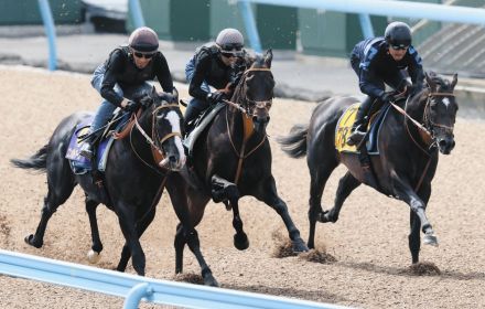 【目黒記念・傾向と対策】前走が今レースと同じ2500メートルだった馬が活躍、大外８枠は苦戦の傾向