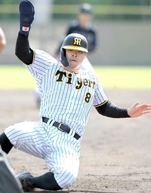 阪神・佐藤輝　６戦ぶりマルチ＆無失策も最短昇格見送り　「内容の方も良かった」２軍８試合で打率・２５９、１本塁打