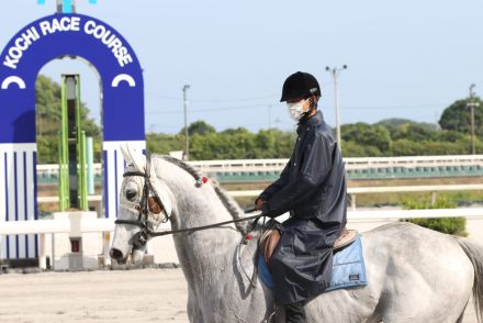 【高知競馬】ジョーアラビカが誘導馬デビュー