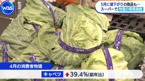 4月消費者物価↑2.2％　野菜や牛乳は値上がり、100円ショップは「厳しい状況」【WBS】