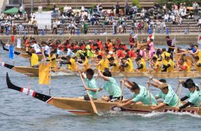 32人息を合わせ、相生湾を「竜」が疾走　兵庫・ペーロン競漕