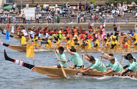 32人息を合わせ、相生湾を「竜」が疾走　兵庫・ペーロン競漕