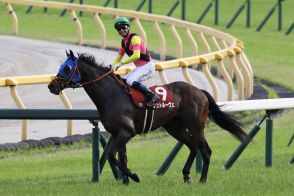【目黒記念】モレイラ「とても良い馬」シュトルーヴェ重賞連勝