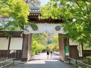 【京都歩きの達人らくたびが指南！】「青もみじ」を堪能できる3つのコース――東山・洛北・嵐山
