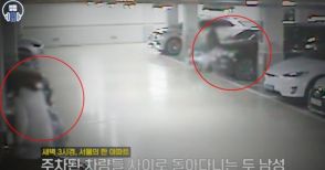 車泥棒じゃないけれど…韓国・マンション駐車場に潜み、逮捕された男性2人の正体