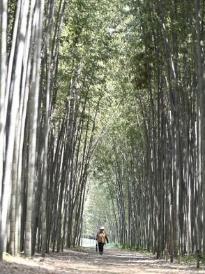 【４２市町村まるかじり】可児市　豊かな自然生かすまち「かぐや姫の散歩道」若者呼ぶ　