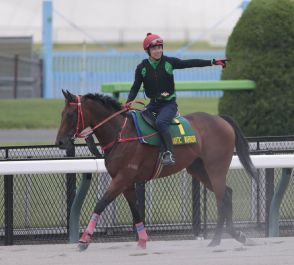 【安田記念】香港の雄ロマンチックウォリアーは前日の日本ダービーの大歓声もどこ吹く風　「全く馬は動じていないようでした」