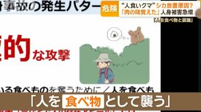 人間を“食べ物”と認識するクマも…「肉の味覚えた」原因は駆除したシカの放置か