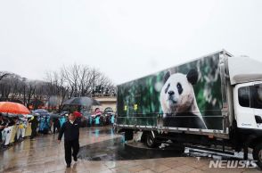 中国に返還された韓国生まれのパンダ、現地施設が「冷遇」か…首に毛が抜けた跡