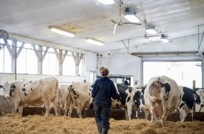 米欧、鳥インフル対策で畜産酪農家などへワクチン接種検討
