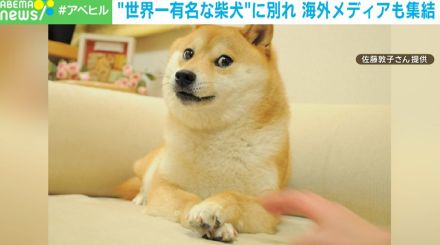 “世界一有名な柴犬”かぼすちゃんのお別れ会に海外メディアも集結 飼い主が伝えたいメッセージとは