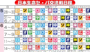 【ヤクルト】交流戦で投打バランス整えば最下位脱出見えてくる／担当記者が占う