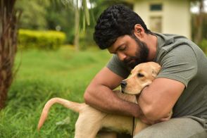 孤独な男とやんちゃな犬の“踊らないインド映画”　『チャーリー』本予告＆場面写真公開