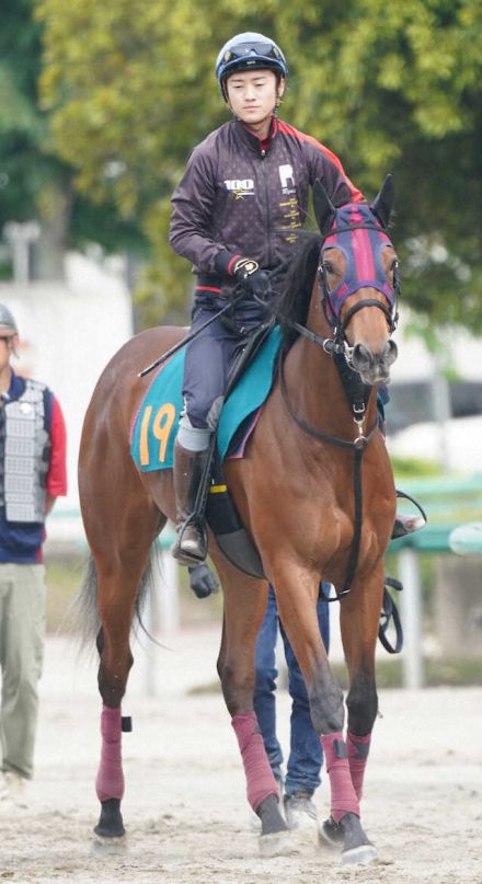 【東京新馬戦】エンブロイダリー　父に似て筋肉質の馬体、森一師「期待十分」