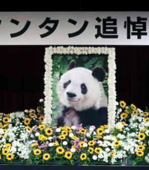 「家族であり友達」「自分の子供のような存在だった」動物園の飼育員さんが追悼式で語ったパンダのタンタンのこと