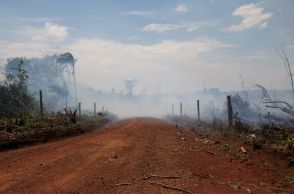 アマゾン「違法道路」、環境保護でコロンビア政府が破壊準備も停滞