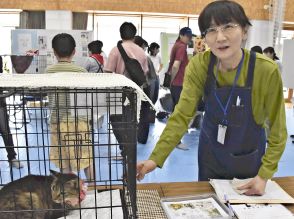 人と猫「共に幸せに」　福島・飯坂温泉で保護猫譲渡会、川又さん活動