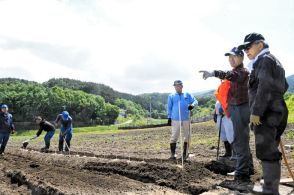 「天空の自然薯」売り出せ　福島県川内村の高田島地区　生産拡大へ種イモ定植