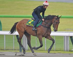 【安田記念・耳より】香港馬ヴォイッジバブルは泰然自若　軽め調整も高い潜在スピード示す