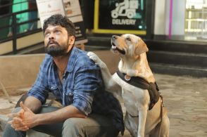 インド発、孤独な男と犬の人生再出発の旅が始まる『チャーリー』本予告