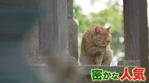 北九州に観光客の穴場発見!無形文化財“発祥の地”で4匹の「招き猫」が大人気　九州の訪日外国人36万人超