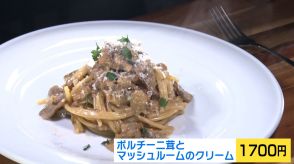 【新潟グルメ】そのシェフは旅人…旅先で学んだ薬膳スープとこだわりパスタ【燕市】